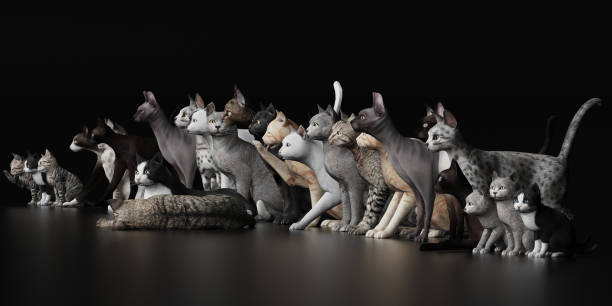 istock All kinds of cat breeds staying together for gathering  3d render 1149722697