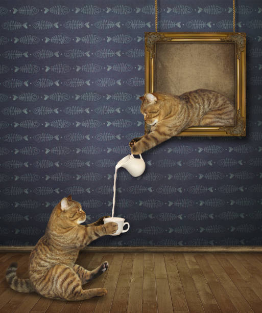 istock Cat treats its friend with milk 1149722705