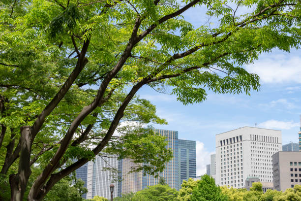 istock Park green trees and office buildings 1149724121