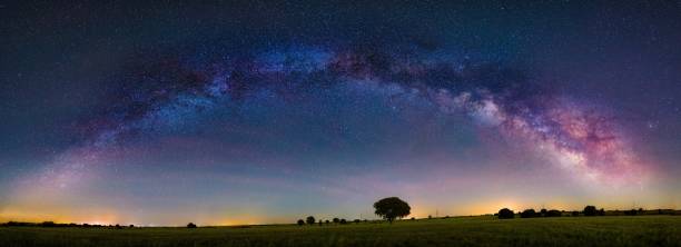 istock The old tree and the milky way 1149725752