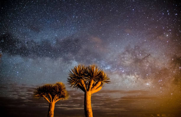 istock Milky Way over la Palma 1149725816