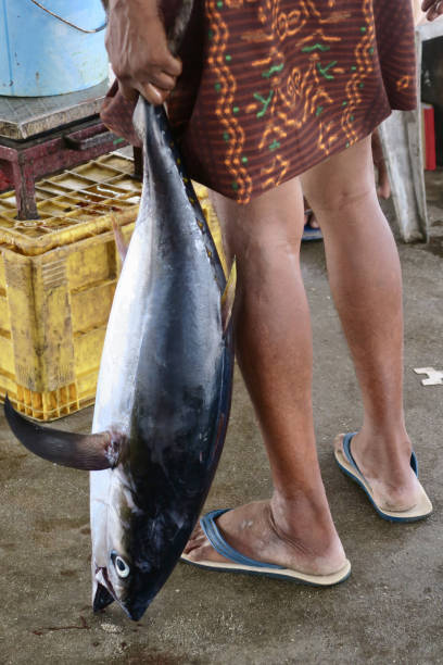 изображение индуистских рыбаков, держащих свежевыловленного индийского тунца / тунца / голубого тунца на рынке морепродуктов, готовых полу - tuna tuna steak raw bluefin tuna стоковые фото и изображения