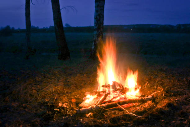 istock Big bonfire in the spring birch forest by the river 1149728435