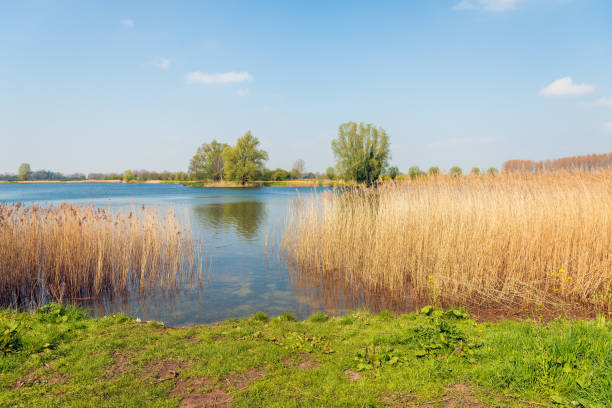 istock On the shore of a lake 1149730257