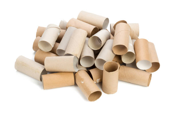 istock Empty toilet paper on white background 1149734715