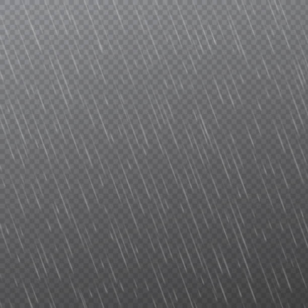 Rain drops on transparent background. Falling water drops. Nature rainfall. Vector illustration Rain drops on transparent background. Falling water drops. Nature rainfall. Vector illustration. rain stock illustrations