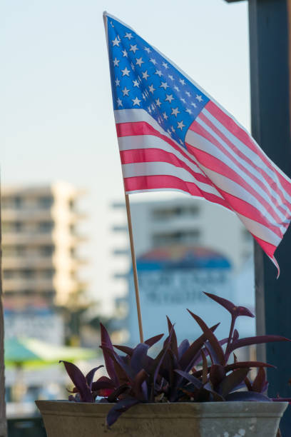 istock American Flag Stuck in a Flowerpot on Blur Background 1149742242