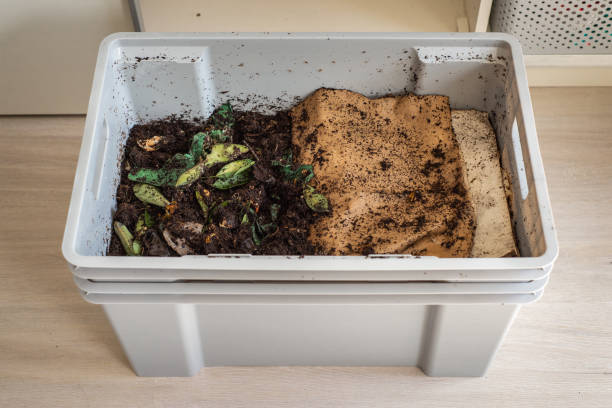 Top view of a worm farm composting bin, a DIY setup in a plastic bin, located in an apartment. Worm farms are a good way to reduce food waste, while producing an all-natural plant fertilizer A worm farm with the lid off and cardboard cover folded back, located in an apartment earthworm photos stock pictures, royalty-free photos & images