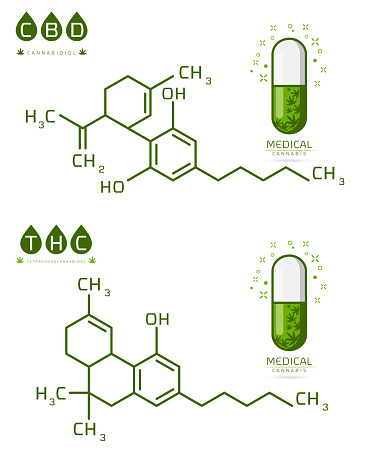 Set of Thc and cbd formula. Cannabidiol and tetrahydrocannabinol molecule structure compound. Medical marijuana molecules vector illustration