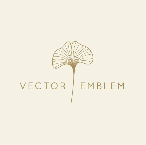 vector abstrakte logo-design-vorlage im trendigen linearen minimal-stil-ginkgo biloba blatt - gingko stock-grafiken, -clipart, -cartoons und -symbole