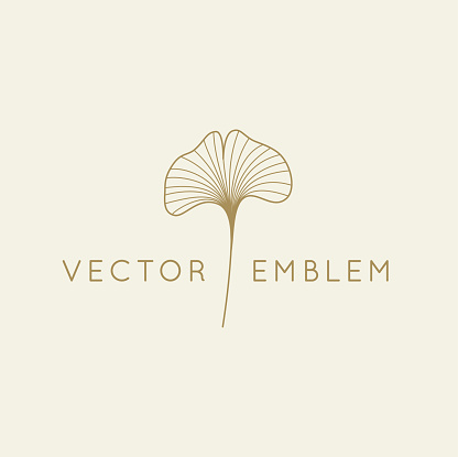 Vector abstract logo design template in trendy linear minimal style - ginkgo biloba leaf - abstract concept for organic food and cosetics