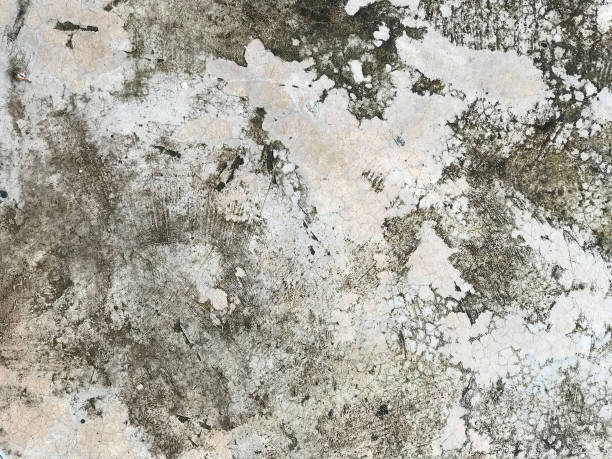 istock old grungy floor texture, gray concrete wall background 1149749069
