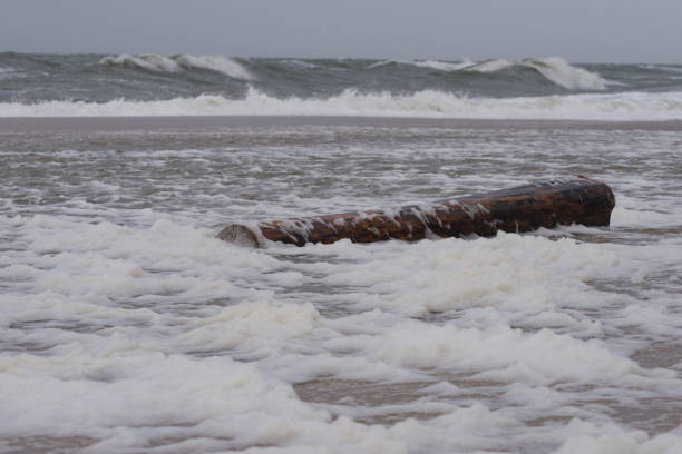 A storm hits the beach of Northsea island Sylt. Schleswig-Holstein, Germany. February 2019