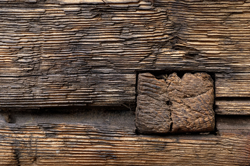 Backgrounds and textures: aged weathered wood texture, close-up shot
