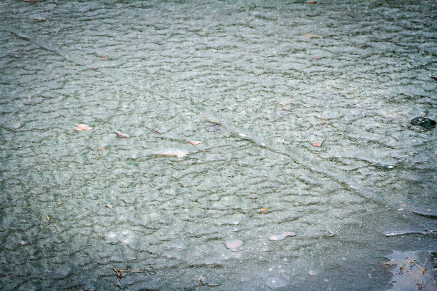 Photo of Surface of pond covered with melting ice