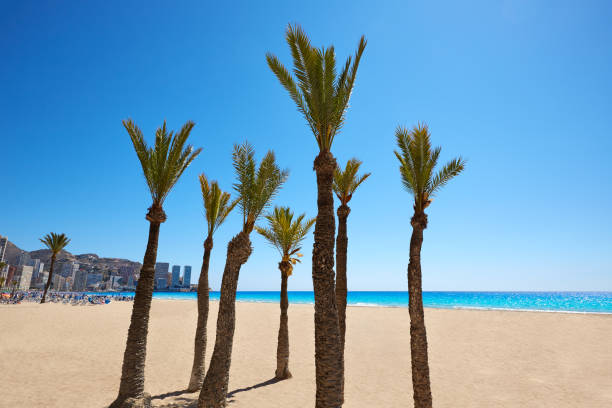 istock Benidorm Levante beach in Alicante Spain 1149756776