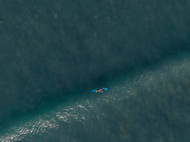 istock Surfer chick paddles out to sea 1149758047