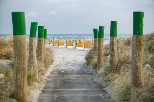roofed wickers beach chairs on a beach of Fehmarn Island, Germany