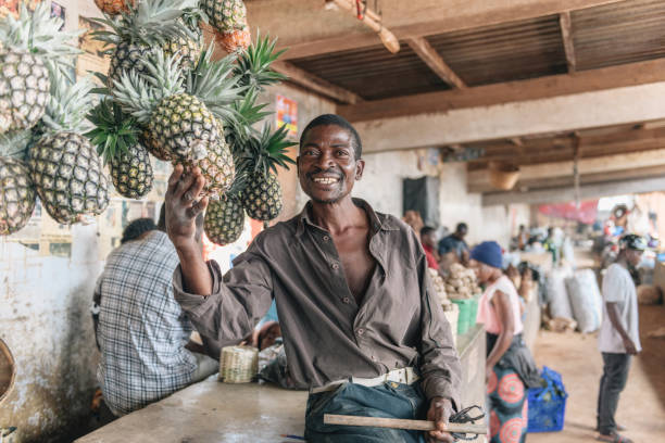 Mzuzu, Malawi - February 27, 2019: market vendor proudly presenting \nhis pineapple fruits