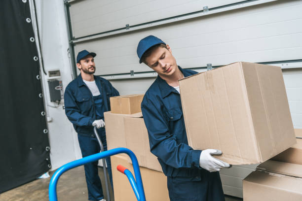 istock two concentrated movers in uniform transporting cardboard boxes in warehouse 1149768936