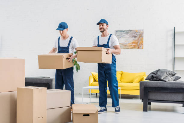 two movers transporting cardboard boxes in apartment stock photo