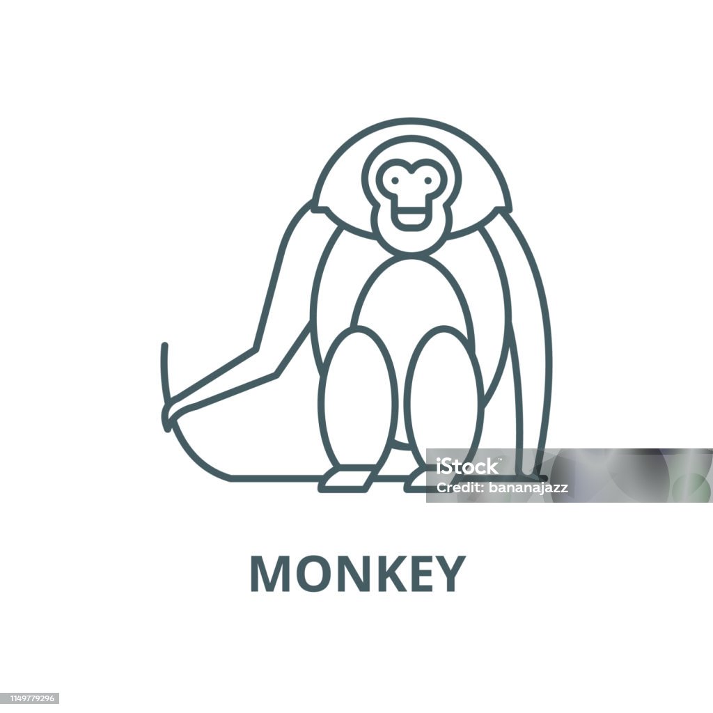 Monkey vector line icon, linear concept, outline sign, symbol Monkey vector line icon, outline concept, linear sign 2016 stock vector