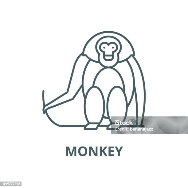 Monkey Vector Line Icon Linear Concept Outline Sign Symbol Stock Illustration - Download Image Now