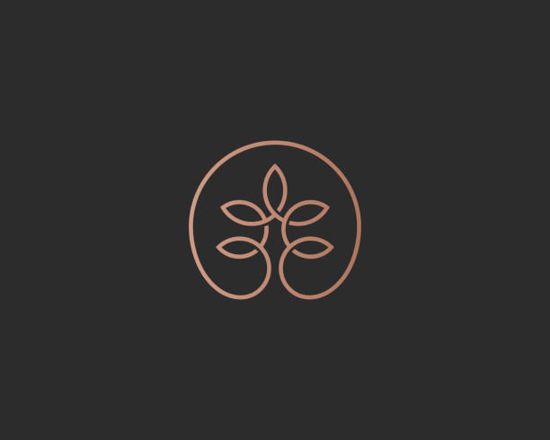ilustrações de stock, clip art, desenhos animados e ícones de linear tree flower type. universal premium park lotus eco vector  icon symbol. - olive tree