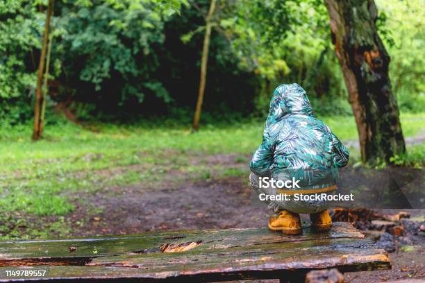 Little Boy Exploring The Nature Stock Photo - Download Image Now - Adventure, Autumn, Boys