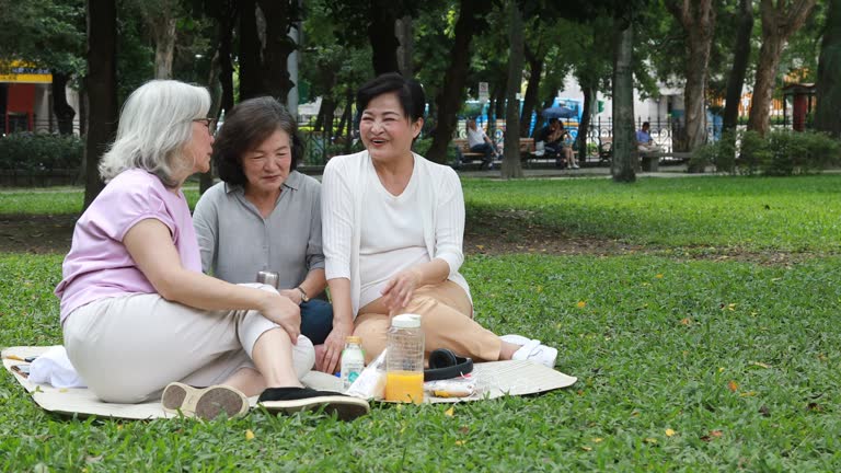 Elderly Taiwanese Friends Having Picnic Together