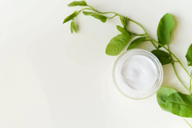 face-cream and greenery on a white background with copy space. natural organic cosmetic facial. place for text . top view