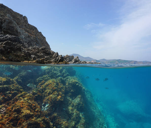 istock Mediterranean sea rocky shore with fish underwater 1149815553
