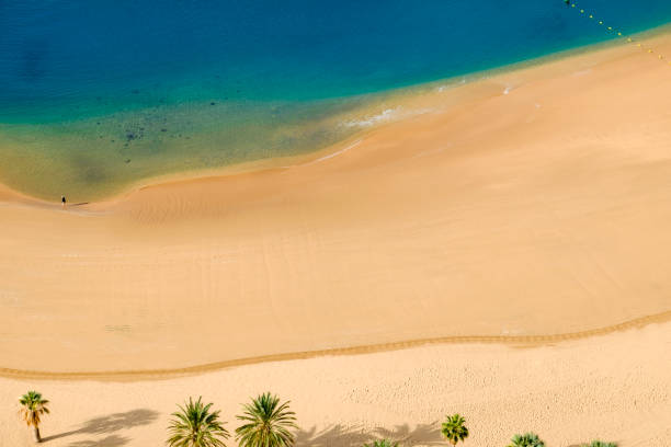istock Tenerife, Canary Islands-Las Teresitas Beach 1149817030