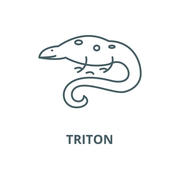 illustrations, cliparts, dessins animés et icônes de icône de ligne vectorielle triton, concept linéaire, signe de contour, symbole - statue greek culture neptune greece