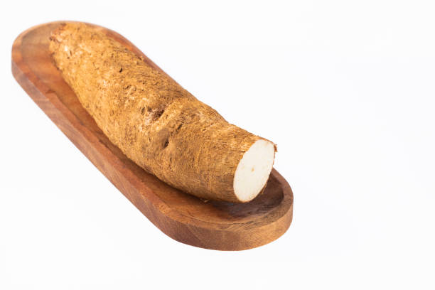 istock Cassava raw tuber - Manihot esculenta 1149820742