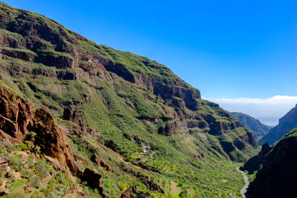 istock Gran Canaria, Canary Islands-Barranco de Guayadeque 1149822250