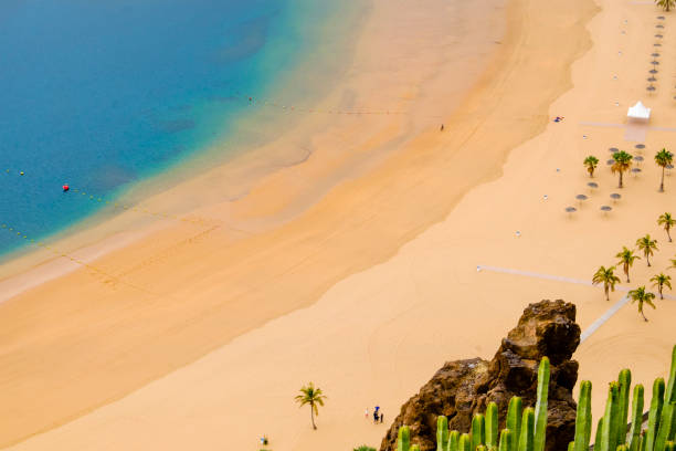 istock Tenerife, Canary Islands-Las Teresitas Beach 1149822401