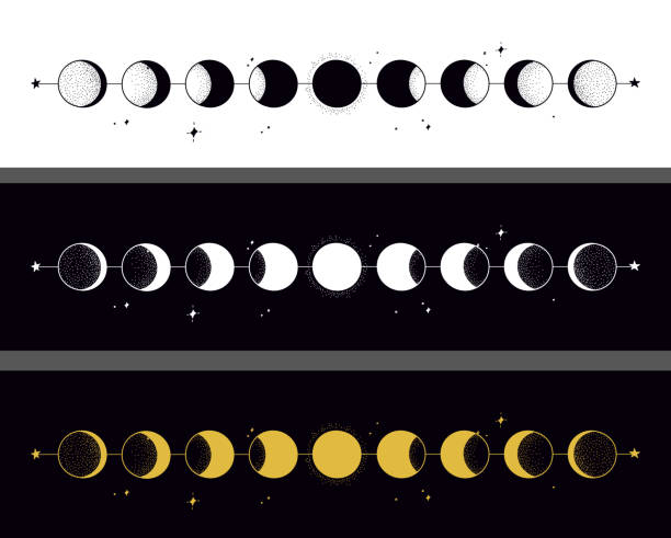 ilustraciones, imágenes clip art, dibujos animados e iconos de stock de las fases lunares - almanaque