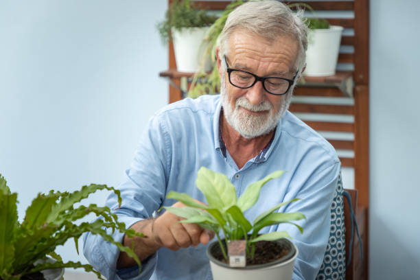 istock Senior old man eldery puring water and taking care small tree on table 1149824918