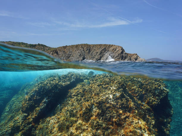 istock Rocky coast with fish underwater Mediterranean sea 1149828141