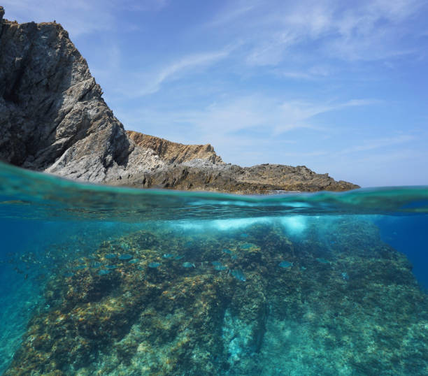 istock Rocky sea shore above and below water with fish 1149832265