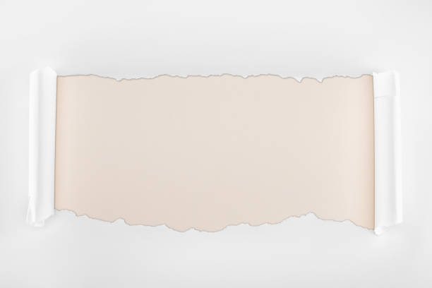 istock ripped white textured paper with curl edges on ivory background 1149835709