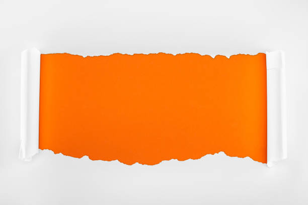 istock ripped white textured paper with rolled edges on orange background 1149835728