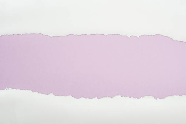 istock ripped white textured paper with copy space on light purple background 1149835803