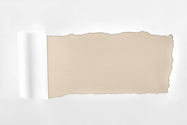 istock tattered textured white paper with rolled edge on ivory background 1149836532