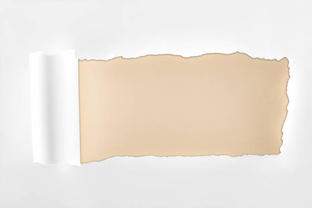 istock tattered textured white paper with rolled edge on beige background 1149836539