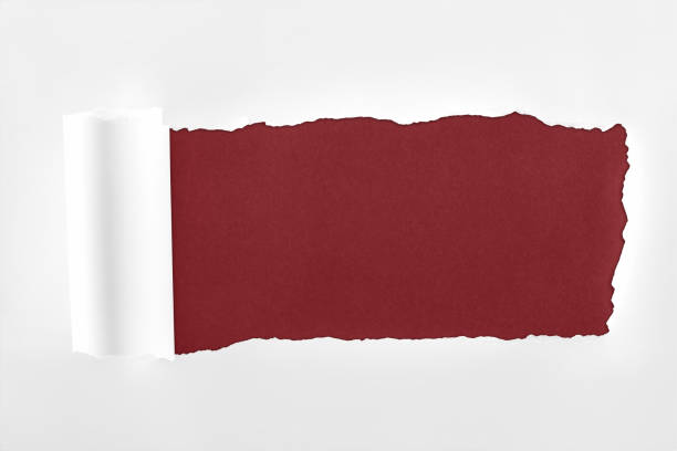 istock ragged textured paper with rolled edge on burgundy background 1149836606
