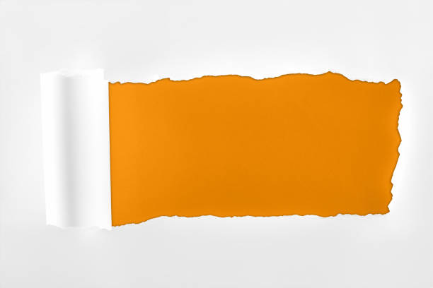 istock ragged textured paper with rolled edge on orange background 1149836618