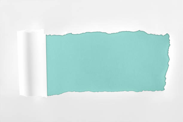 istock ragged textured white paper with rolled edge on light blue background 1149836625