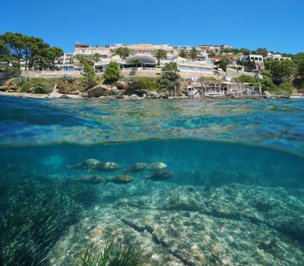 istock Spain Costa Brava hotel with fish underwater sea 1149836748